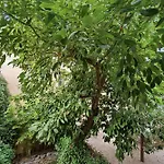 Le Vauban Antibois - Avec Jolie Balcon Lägenhet
