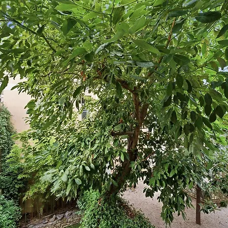 Le Vauban Antibois - Avec Jolie Balcon Apartman